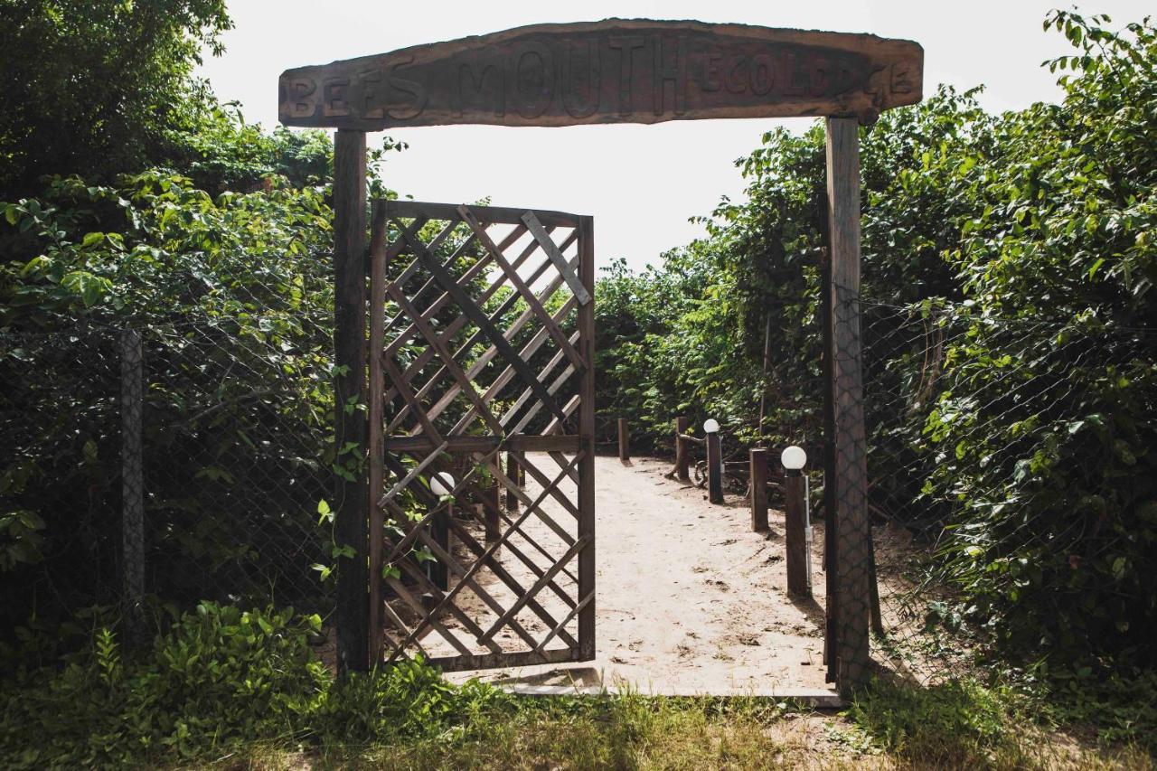 ホテル Bees Mouth Gambia Sanyang エクステリア 写真